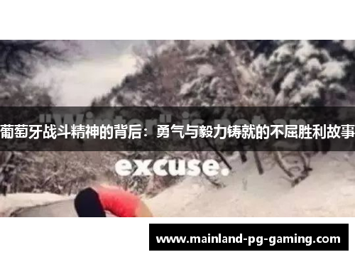 葡萄牙战斗精神的背后:勇气与毅力铸就的不屈胜利故事 葡萄牙战斗精神的背后:勇气与毅力铸就的不屈胜利故事