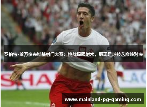 罗伯特·莱万多夫斯基射门大赛：挑战极限射术，展现足球技艺巅峰对决