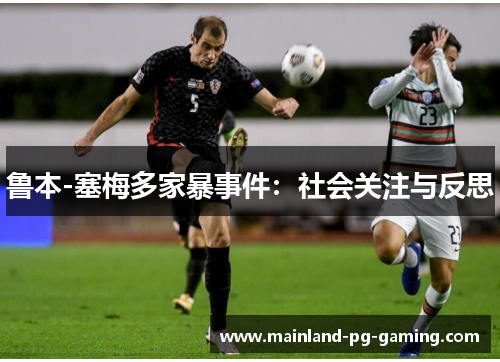 鲁本-塞梅多家暴事件：社会关注与反思