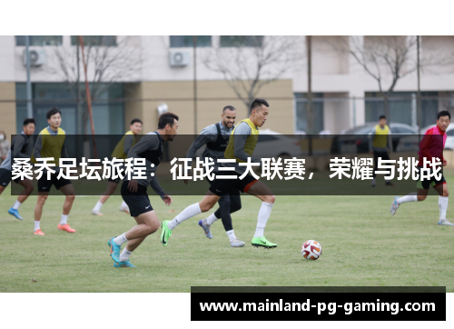 桑乔足坛旅程：征战三大联赛，荣耀与挑战